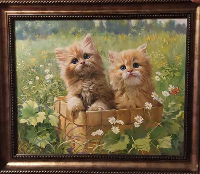 ������ � ��������, kitties